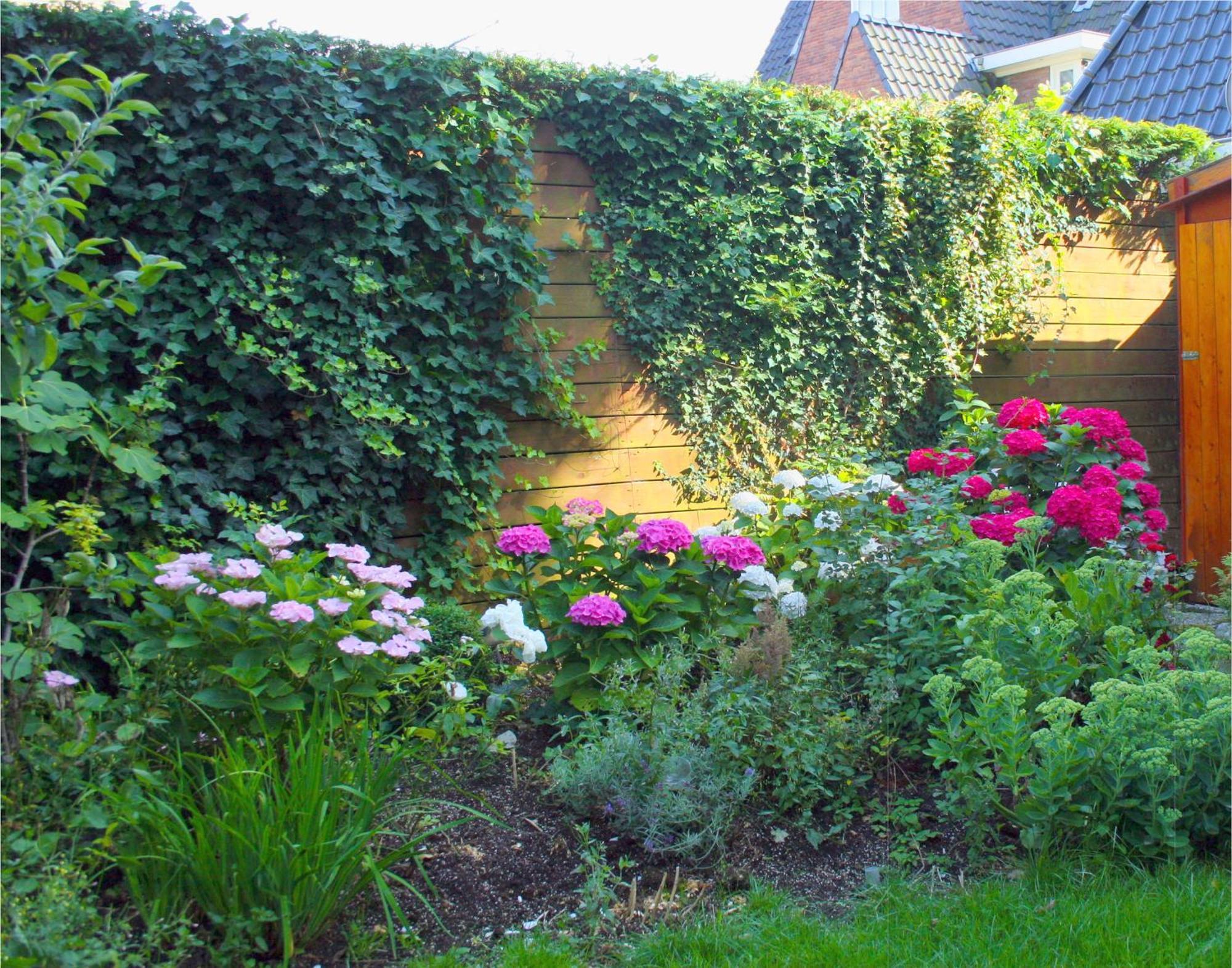 Xaviera'S Bed And Breakfast Amsterdam Bagian luar foto