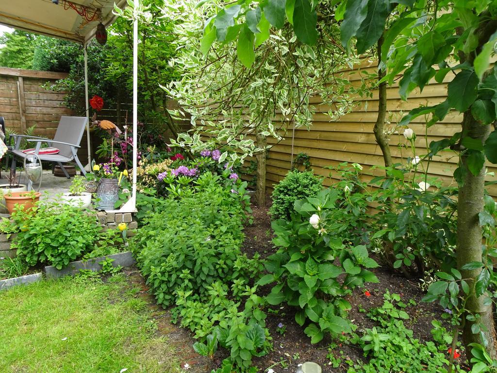 Xaviera'S Bed And Breakfast Amsterdam Bagian luar foto