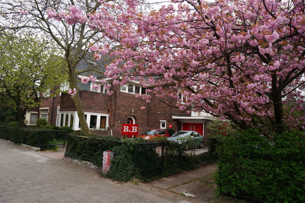 Xaviera'S Bed And Breakfast Amsterdam Bagian luar foto