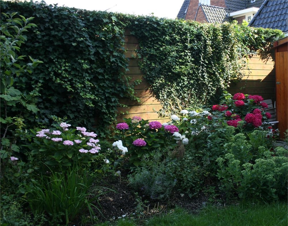Xaviera'S Bed And Breakfast Amsterdam Bagian luar foto