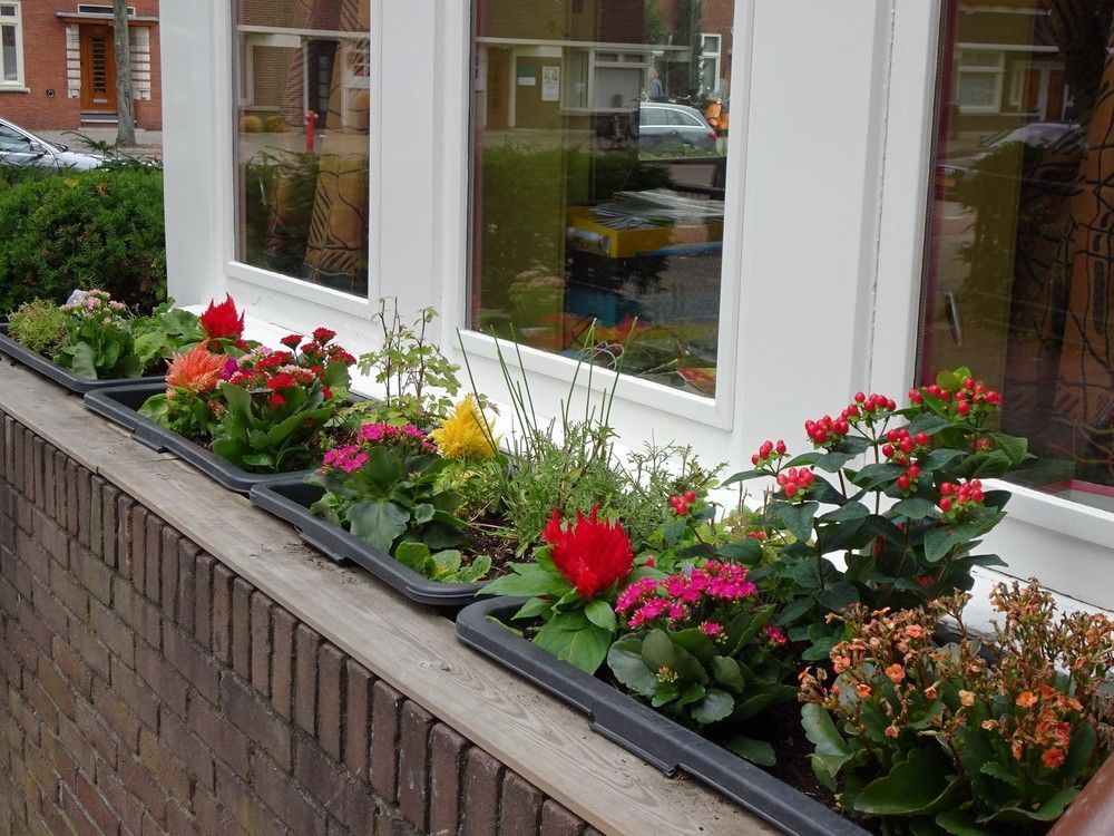 Xaviera'S Bed And Breakfast Amsterdam Bagian luar foto