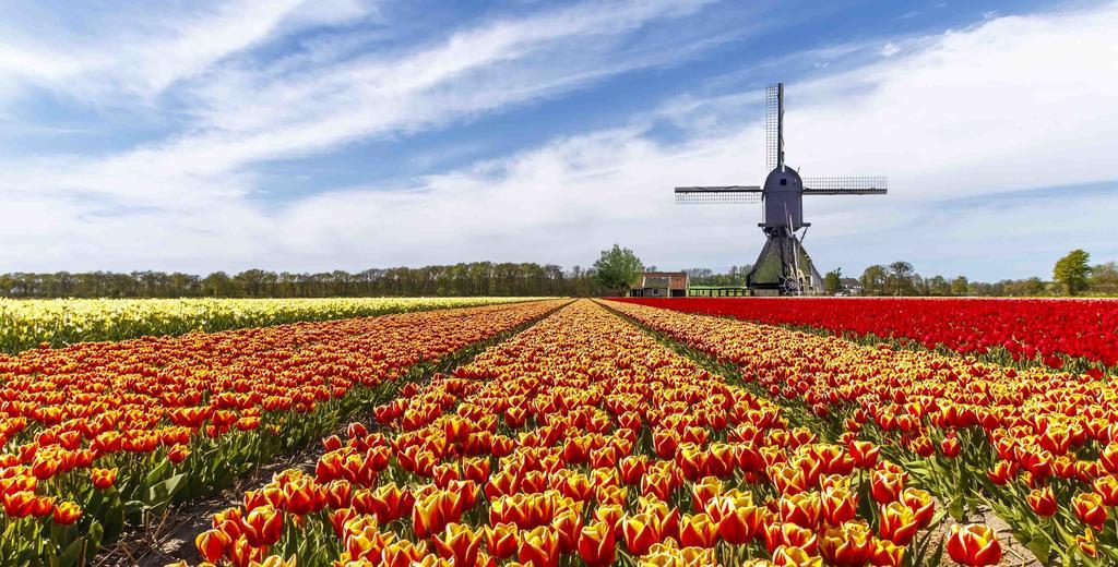 Xaviera'S Bed And Breakfast Amsterdam Bagian luar foto